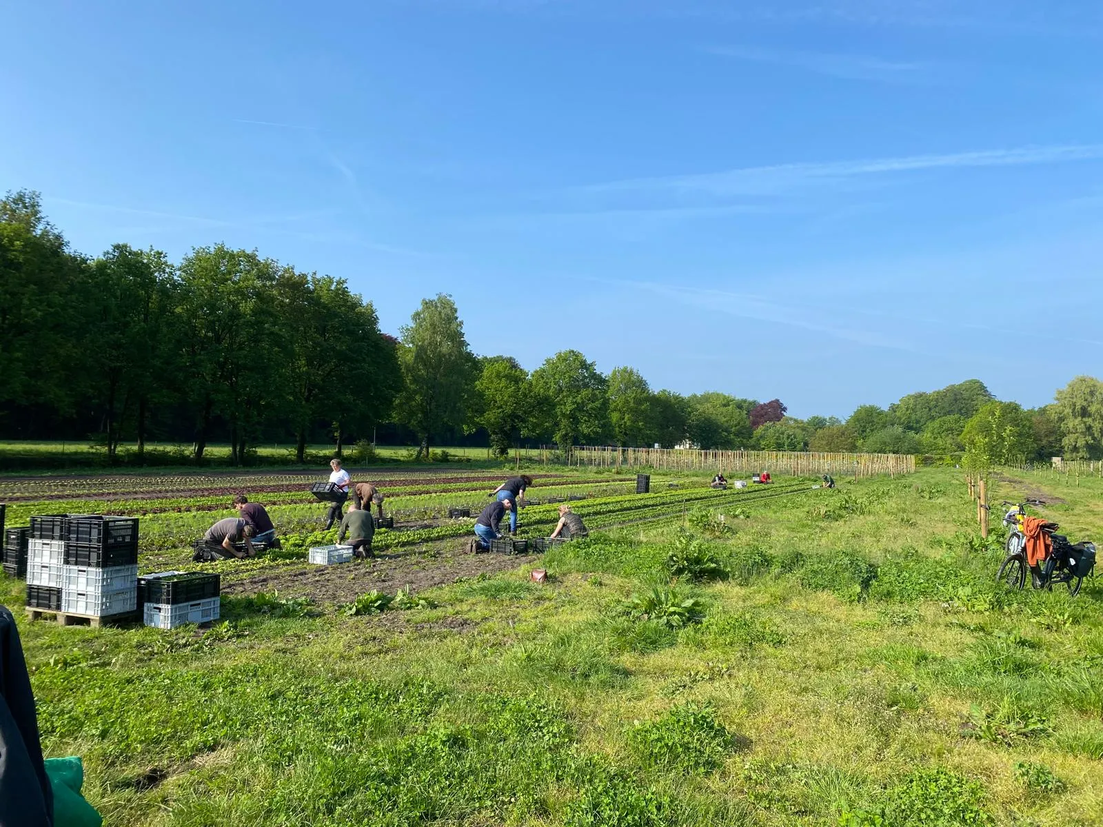Bezoek Herenboeren Willemshoeve